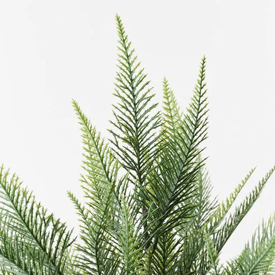 Fern Bush Grey Green 45cm Pack of 12