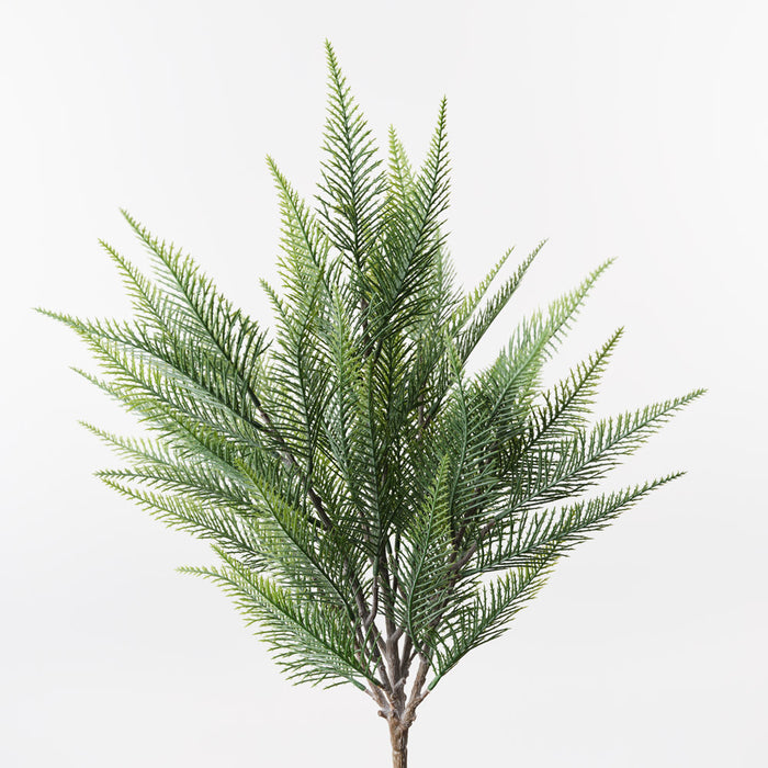 Fern Bush Grey Green 45cm Pack of 12