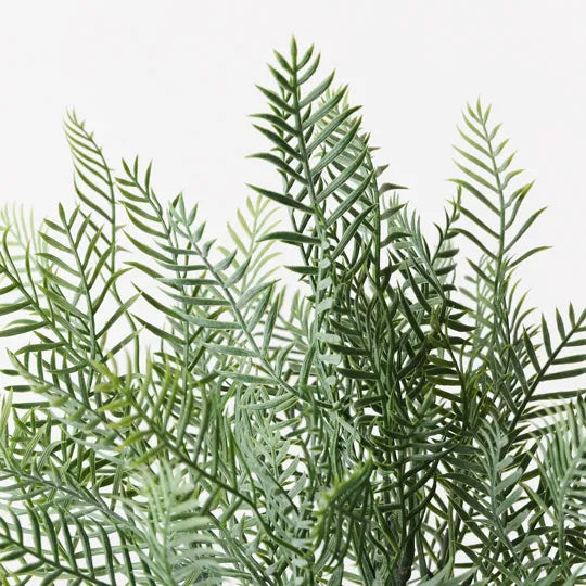 Fern Coral Bush Grey Green 36cm Pack of 12