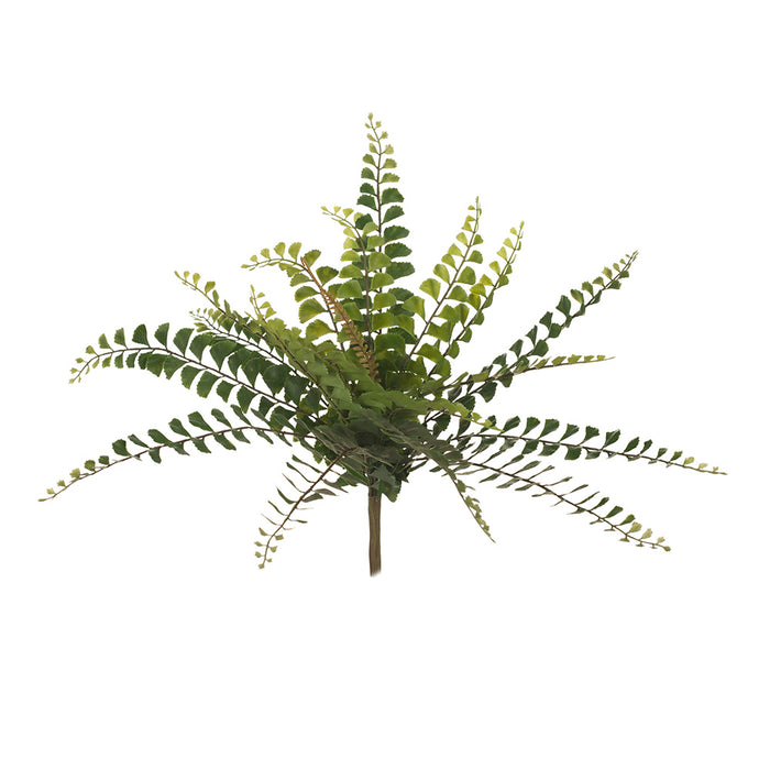 Fern Jewel Bush 28cm Green Set of 12