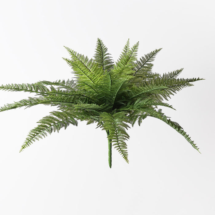 Fern Leather Bush 56cm Green Pack of 6