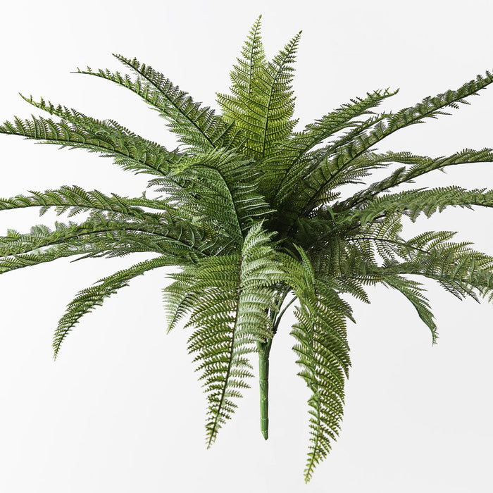 Fern Leather Bush 59cm Green Set of 4