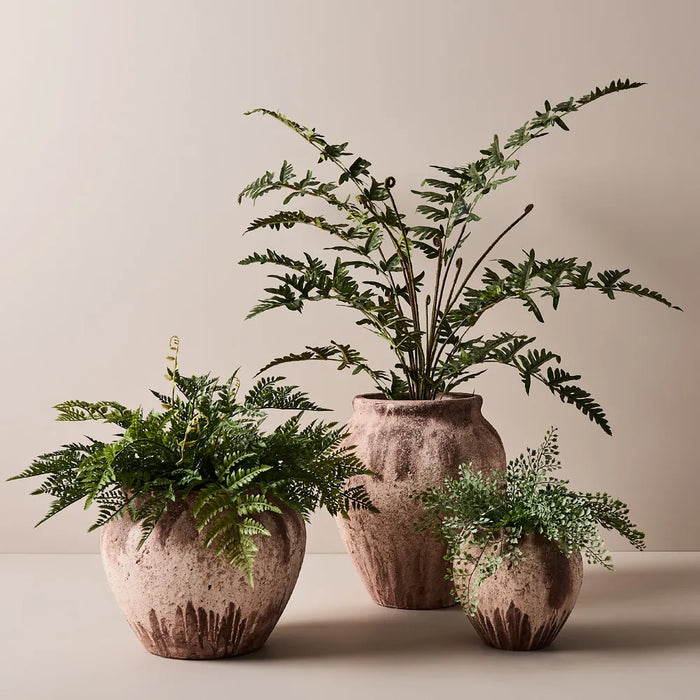 Fern Maidenhair Bush Grey Green 35cm Pack of 12
