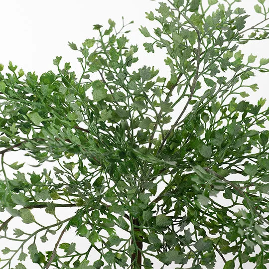 Fern Maidenhair Bush Grey Green 35cm Pack of 12