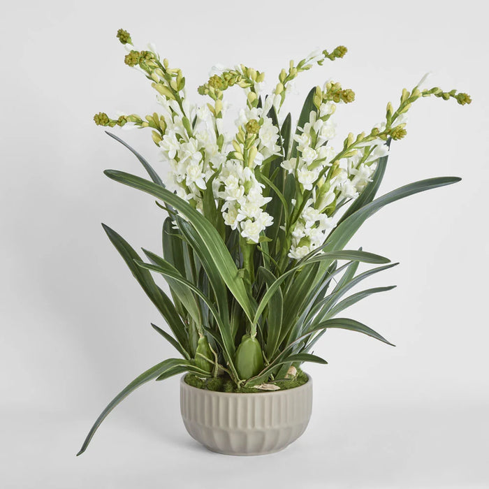 Ferne Arrangement 70cm White in Taupe Pot