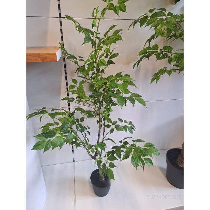 Ficus Tree Green 120cm - Pack of 2