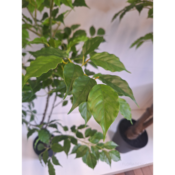 Ficus Tree Green 120cm - Pack of 2
