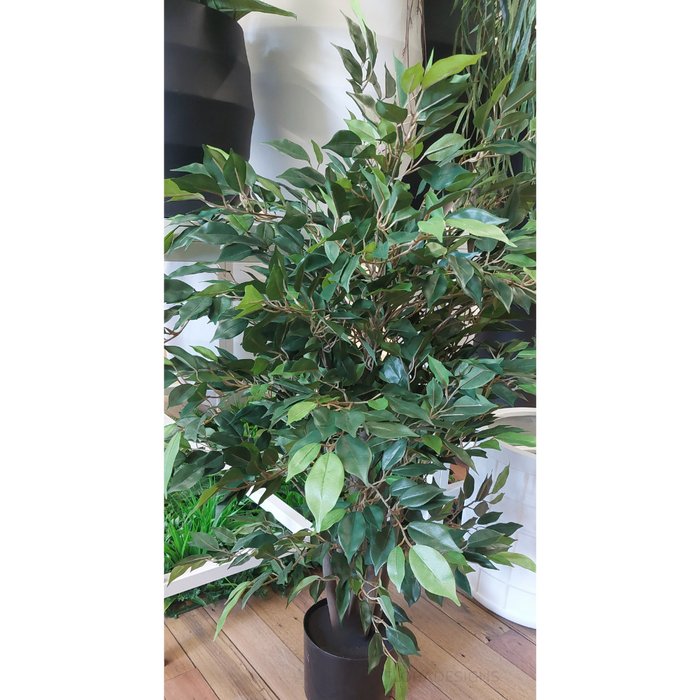 Ficus Tree Green 90cm - Pack of 2