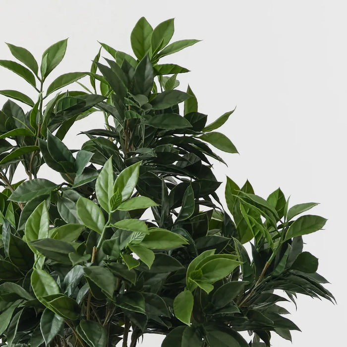 Ficus Tree Green UV Resistant 137cm