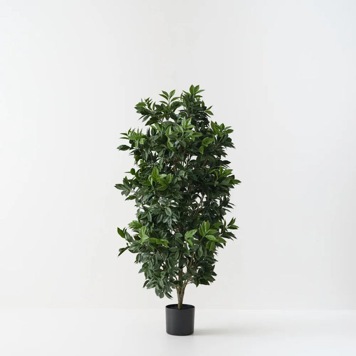 Ficus Tree Green UV Resistant 137cm