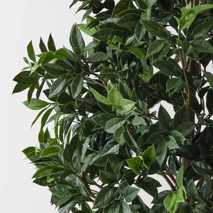 Ficus Tree Green UV Resistant 166cm