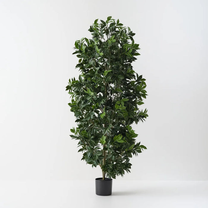 Ficus Tree Green UV Resistant 166cm