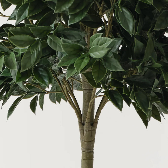 Ficus Tree Green UV Resistant 96cm