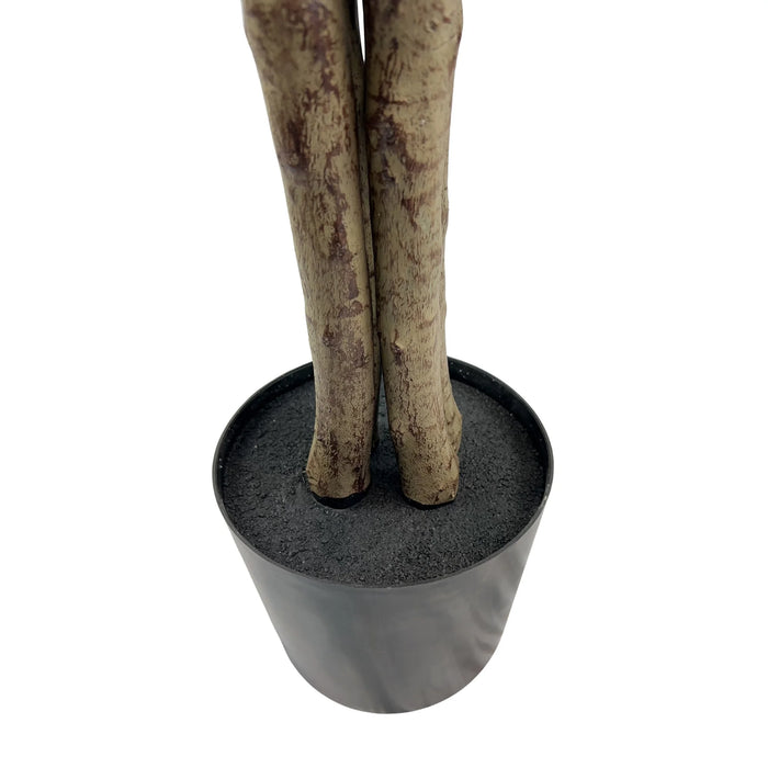 Ficus Tree UV Resistant Green 180cm