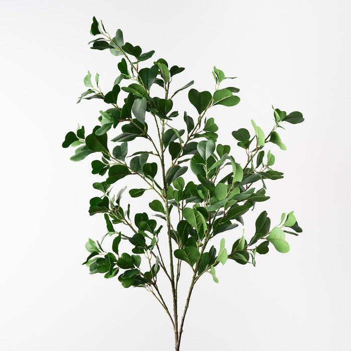 Ficus Triangle Spray 122cm Green Pack of 6