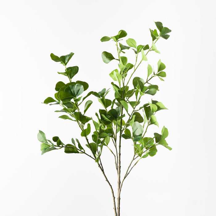 Ficus Triangle Spray Green 112cm Set of 12