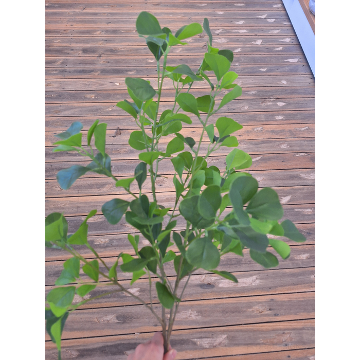 Ficus Triangle Spray Green 112cm Set of 12