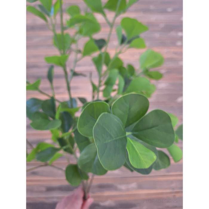 Ficus Triangle Spray Green 112cm Set of 12