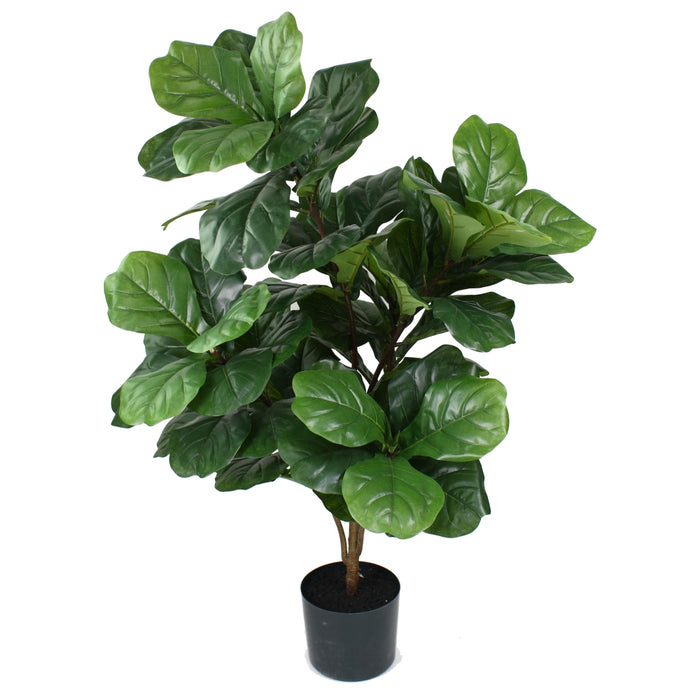 Fiddle Leaf Plant In Pot 137cm