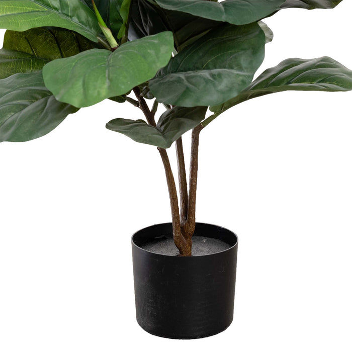 Fiddle Leaf Plant In Pot 90cm