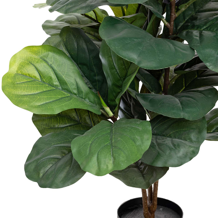 Fiddle Leaf Plant In Pot 90cm