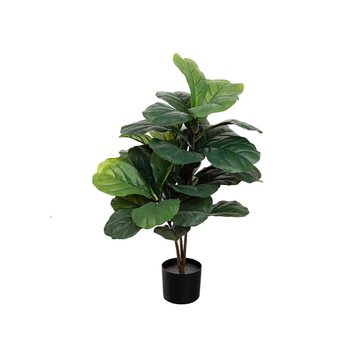 Fiddle Leaf Plant In Pot 90cm