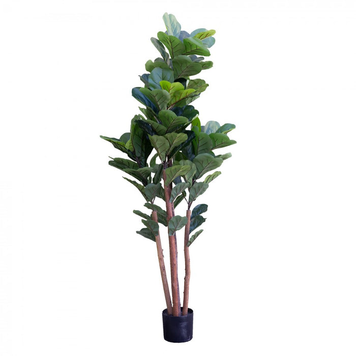 Fiddle Leaf Tree 180cm Green