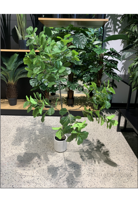 Fiddle Leaf Tree Green 160cm