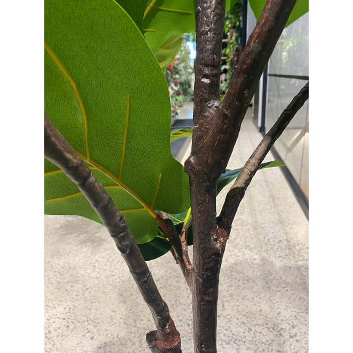 Fiddle Leaf Tree Green 210cm