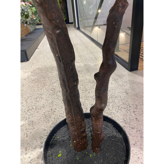 Fiddle Leaf Tree Green 210cm