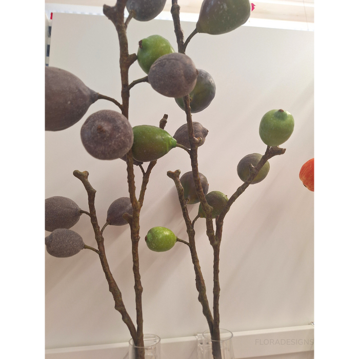 Fig Spray Green 68cm - Pack of 12