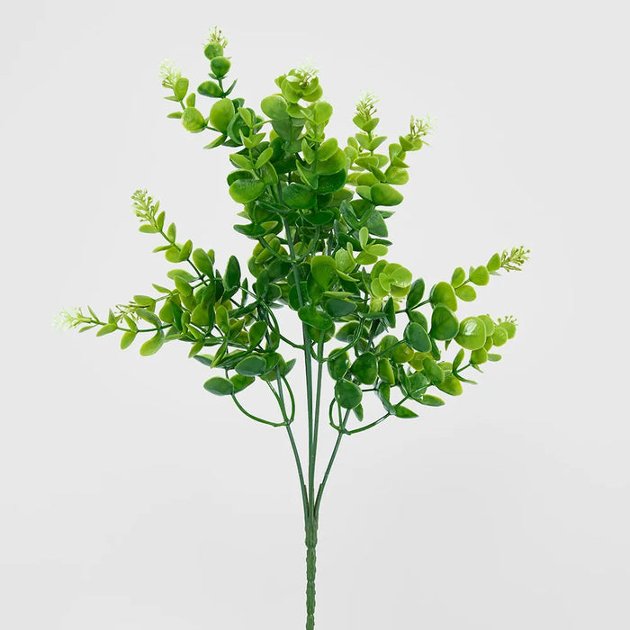 Flowering Eucalyptus Bush 35cm Green Pack of 24