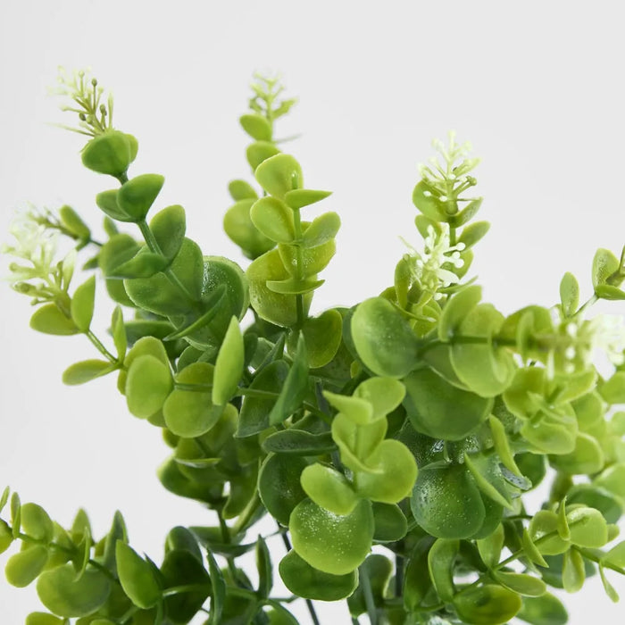 Flowering Eucalyptus Bush 35cm Green Pack of 24