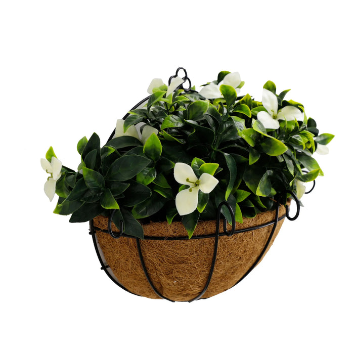Flowering White Jasmine Wall Hanging Basket UV Resistant 25cm Green