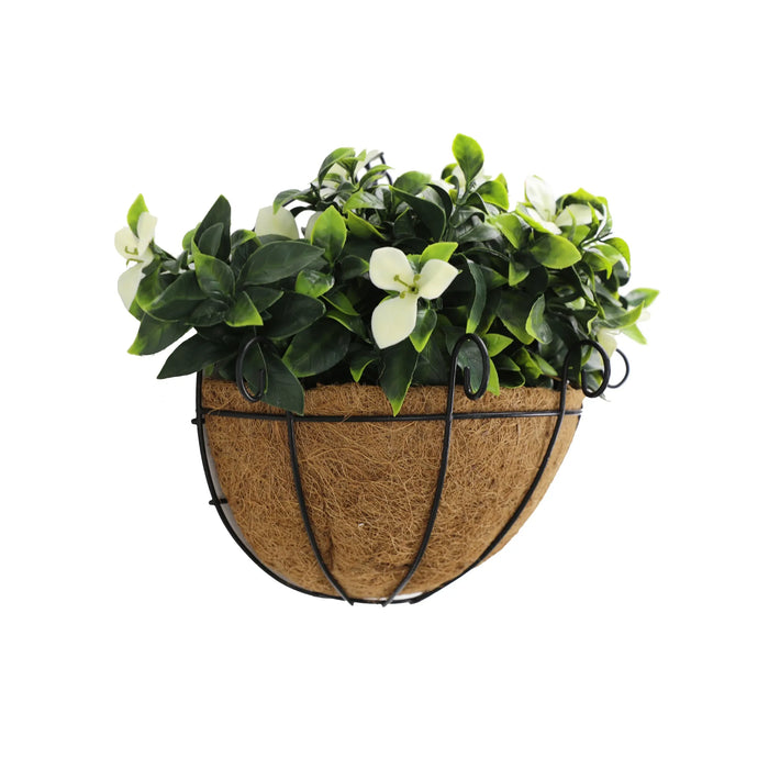 Flowering White Jasmine Wall Hanging Basket UV Resistant 25cm Green