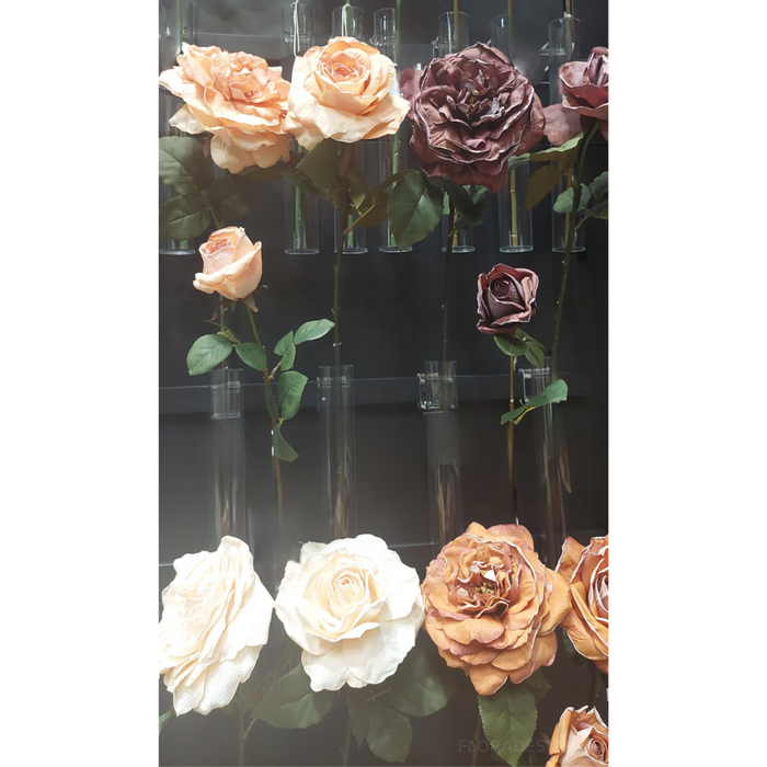 Rose Queen Livia Burnt Orange 65cm Pack of 12