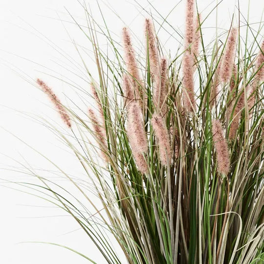 Foxtail Grass Plant Mauve Green 66cm Pack of 2