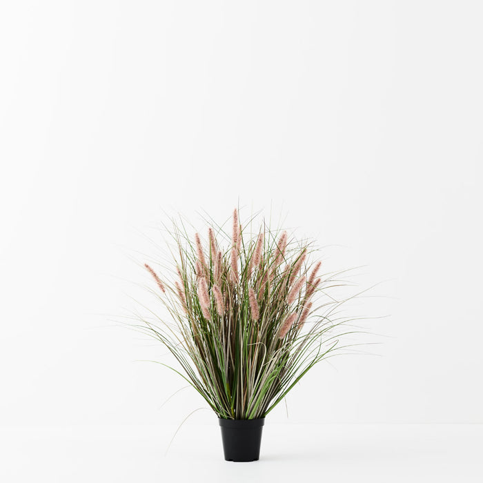 Foxtail Grass Plant Mauve Green 66cm Pack of 2