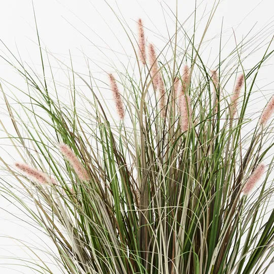 Foxtail Grass Plant Mauve Green 92cm Pack of 2
