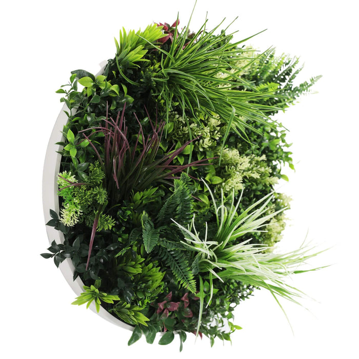Slimline Artificial Green Wall Disc Art Colour 60cm - FLORA DESIGNS