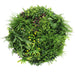 Slimline Artificial Green Wall Disc Art Country Fern 80cm - FLORA DESIGNS