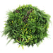 Slimline Artificial Green Wall Disc Art Country Fern 80cm - FLORA DESIGNS