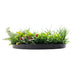 Slimline Artificial Green Wall Disc Art Country Fern 60cm - FLORA DESIGNS