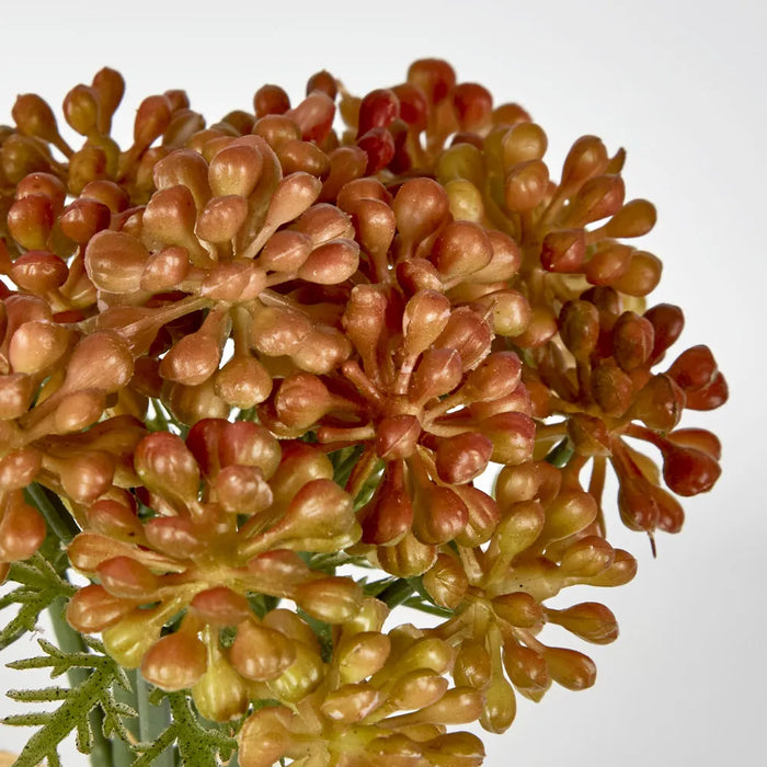 Fruit Berry Bundle 20cm Orange Pack of 36