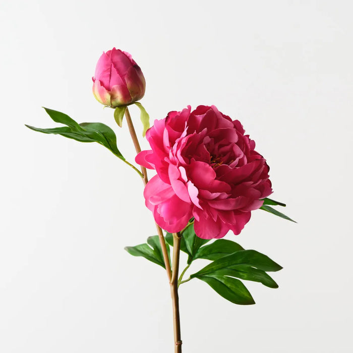Peony Spray Fuschia Pink, 62cm - Pack of 12