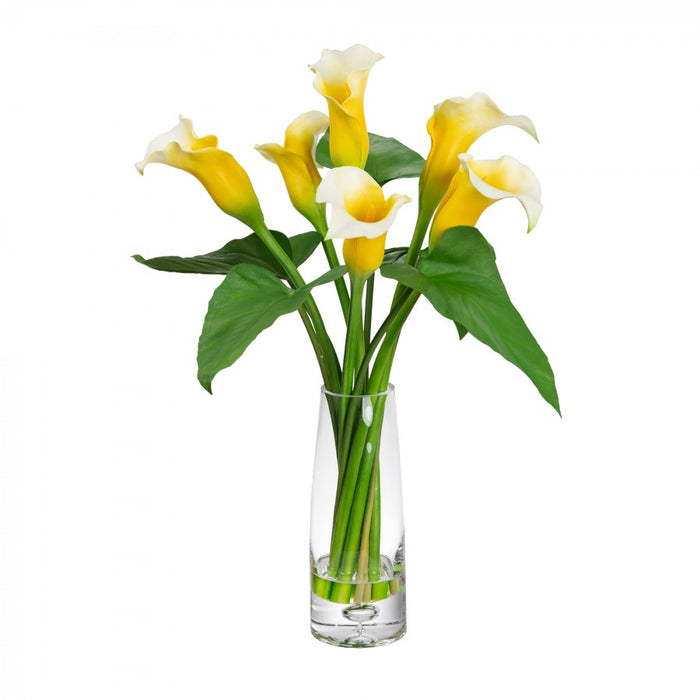 Calla Lily Yellow in Glass Vase - 60cm