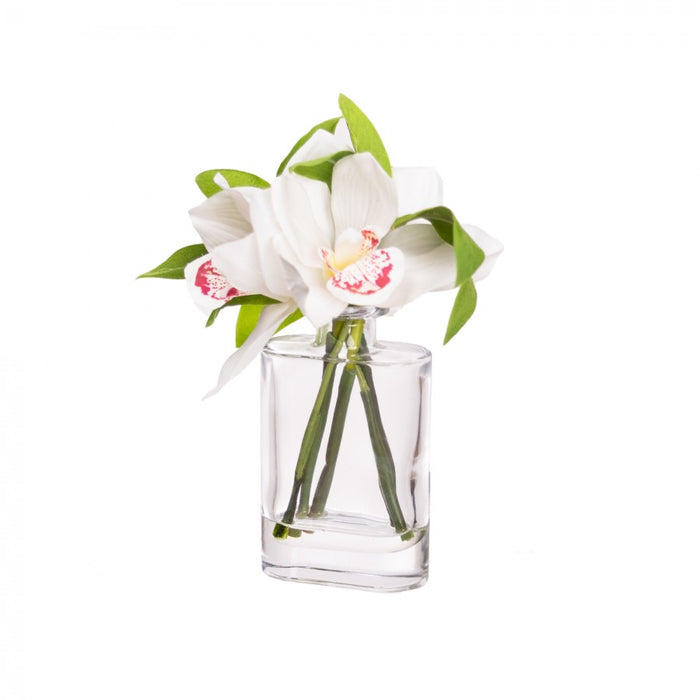 Cymbidium Orchid In Bottle Vase 22cm Set of 2