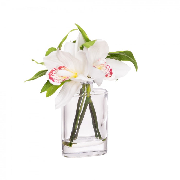 Cymbidium Orchid In Bottle Vase 22cm Set of 2