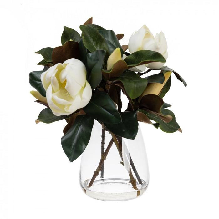 Magnolia Mixed Arrangement In Glass - 48cm