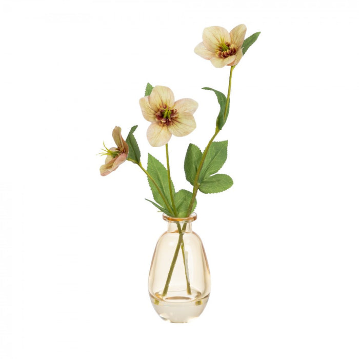 Helleborus Spray in a Glass Orange - 33cm